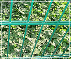 PVC Welded Mesh Panels for Fencing 